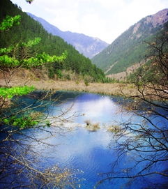 去九寨沟游玩,如何规划准备 (九寨沟县城停车场收费标准)