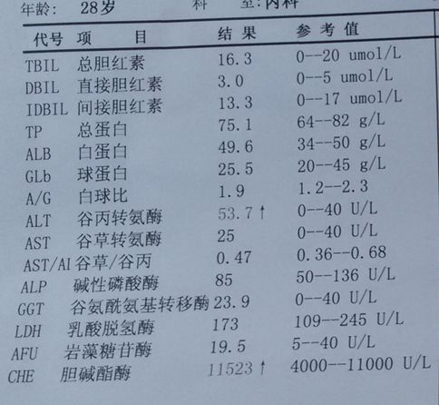 如何能将转氨酶控制在40 80以下,医生 3不要 2坚持 1常吃