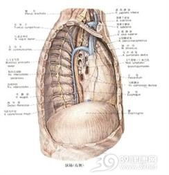 上海胸科医院胸腺瘤治疗方法有哪些 