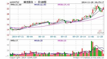 东莞证券什么时候上市的最新相关信息