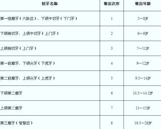 牙齿萌出顺序如下图 信息评鉴中心 酷米资讯 Kumizx Com