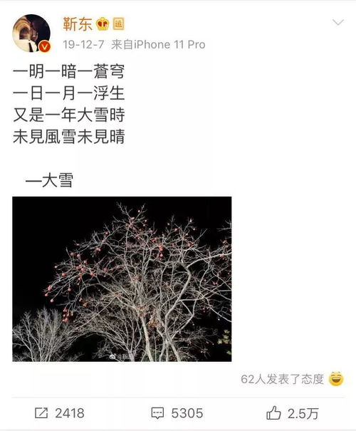 学术 星座与明星气质的玄学研究最终章 土象