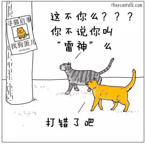 猫到底在叽叽歪歪地说什么 有个漫画家帮你翻译了一下