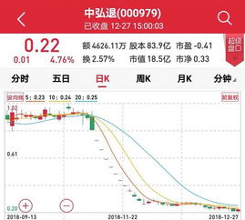 在深圳证券交易所中如果有一支股票代码以0开头，请问这是一支什么股票？