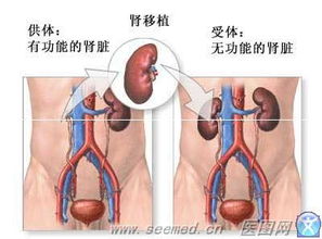 谁能提供几张医学的图片并写上名称 