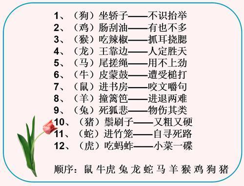 孩子最爱的小学语文趣味题,这才是语文学习的魅力