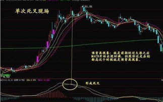 7，13，20均线多头排列并且MACD红柱昨天比前天长 通达信选股