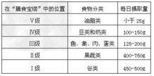 我国营养学家将食物按照每日摄取量，形象地设计成五级“平衡膳食宝塔”，下表将宝塔中各级食物进行具体分