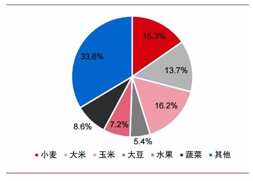 化肥价格一直上涨的原因是什么(化肥价格为何猛涨)