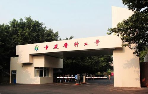 口腔医学专升本院校有哪些？重庆医科大学有专科吗