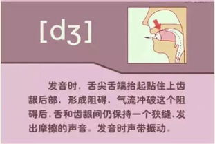 利用汉语声调应对韩语破裂音与破擦音教学