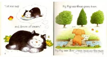 Usborne自然拼读绘本 Big Pig on a Dig