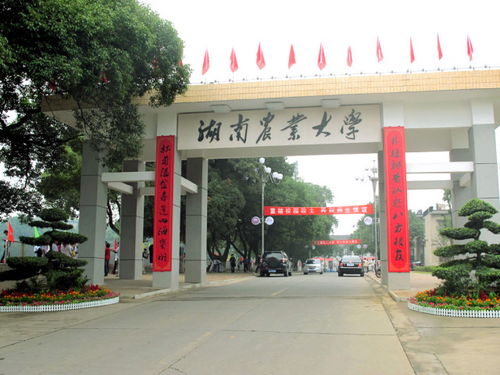 湖南农业大学教务处(湖南农业大学教务处在几教)