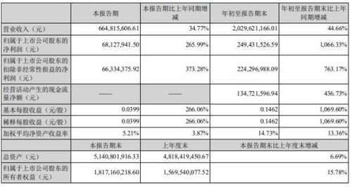 开题,毕业论文,现金流量,报告