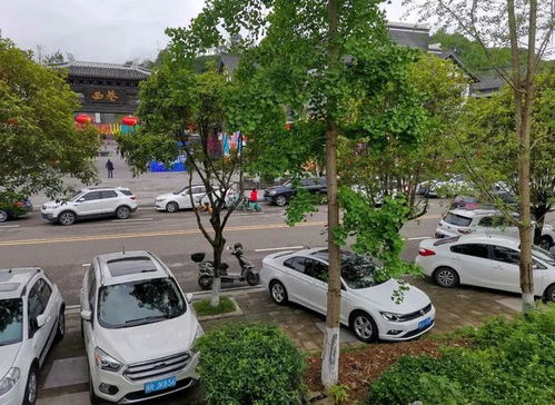 顺庆区免费停车场,毕节市哪里可以免费停车