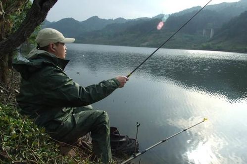 钓鱼人被驱赶，水库为什么禁止钓鱼，这究竟是合法的吗