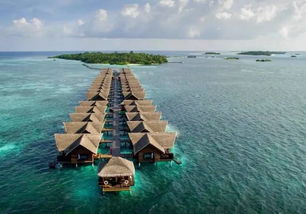 马尔代夫阿达郎白金岛浪漫热带天堂