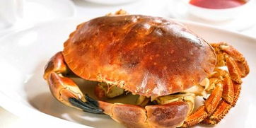 面包蟹做法(面包蟹怎么做最好吃)