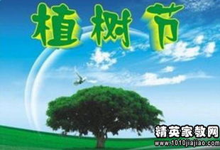 3.12植树节宣传标语
