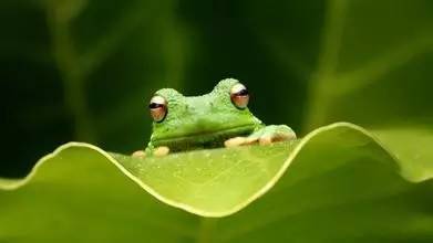 富人赚钱的逻辑 决不是埋头苦干