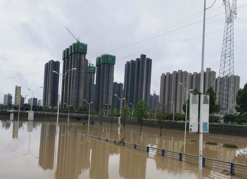 河南暴雨亲历者发声,河南平顶山暴雨亲历者没看到雨停不敢睡觉