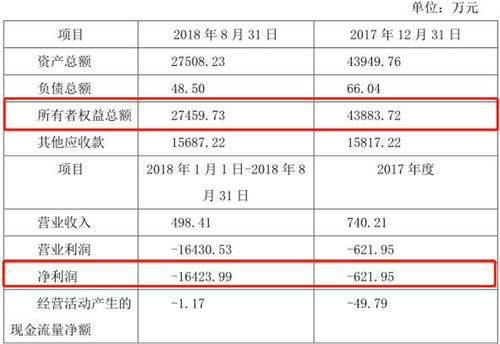 如何用审计报告备案号查询真伪