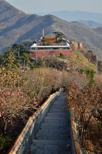 北京妙峰山