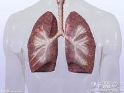 什么东西可以清肺洗肺
