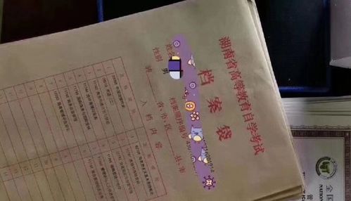 高中生的档案袋里有什么 关系到未来考大学,学生别轻易 拆开