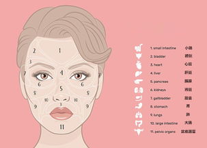 脸上有痘痘 长在不同地方可能预示不同的疾病 