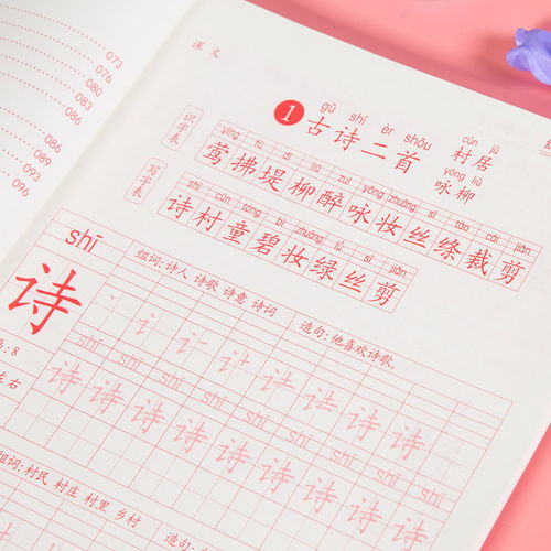 二年级可以也可以造句;只要也能造句二年级100字？