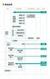 人力资源管理流程(人力资源的详细流程)