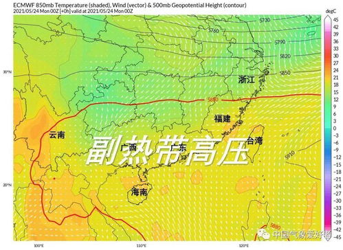 广州梅雨季图片