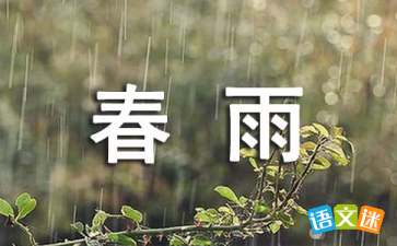 春雨唯美伤感句子短句