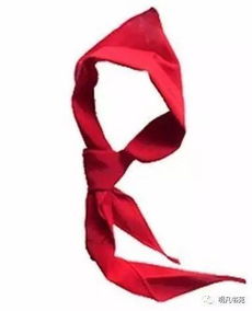 小学的时候要戴红领巾，如果衣服的领子是圆领就不好戴或者戴着很不好看，那是否规定每个学生都要穿翻领呢