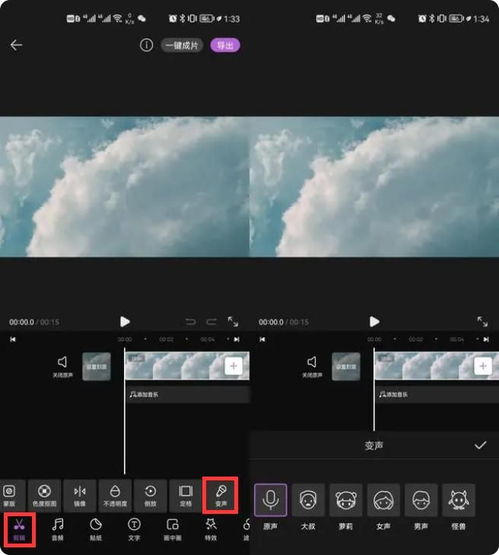 怎么处理视频声音变声 视频声音变声处理软件哪个好