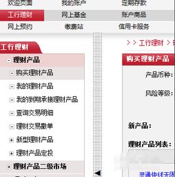 工行网上怎么查询我买了什么基金和理财产品