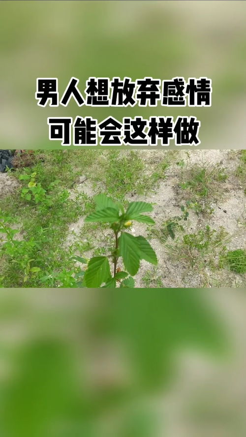 这样修复感情