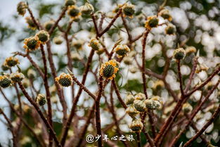 风情古镇,秀丽江山 江山自驾寻梦之旅