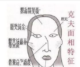 面相学俗语 女人颧骨高,杀夫不用刀,如何看有福无福之相 