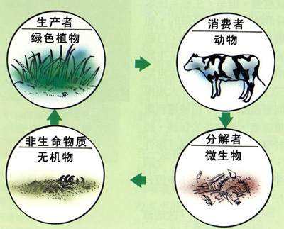 生物都有天敌相克,那病毒有没有天敌 是什么阻住它过度繁殖