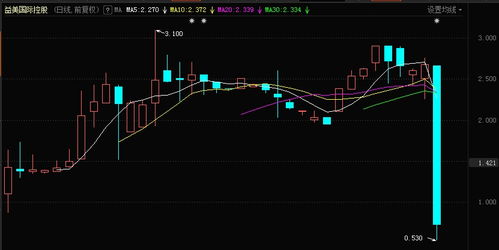 龙辉国际控股通过行使期权发行了280.44万股股票