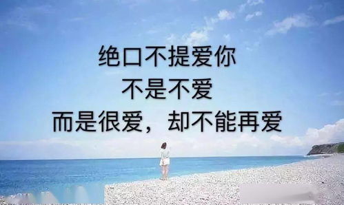 有深度的情感句子