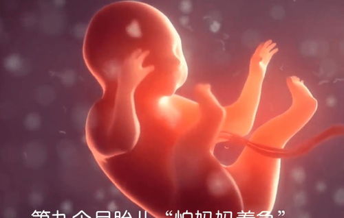 原创怀胎十月，胎儿每个月最怕什么，孕妈妈一定要上点心了！