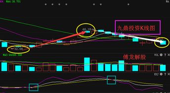 九鼎投资有负面信息吗