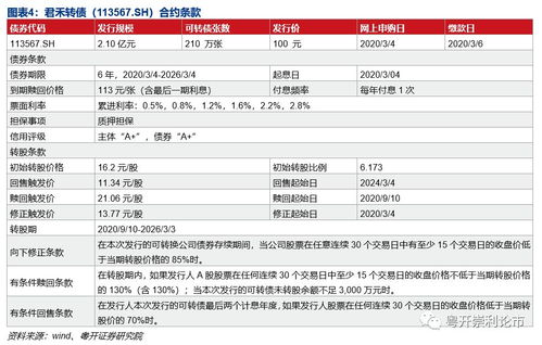 转股价格和行权价格