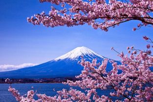 全日本都能看到富士山吗(东京可以看见富士山)