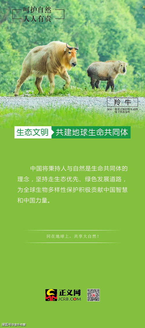 守护生态,感受生物多样性之美 下篇