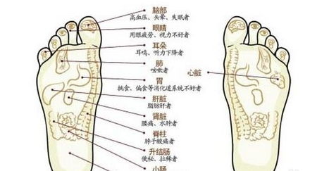 踮脚对身体有怎样的好处,每天坚持踮脚2分钟,胜过运动半小时