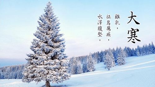 大寒安康,又把新年忙